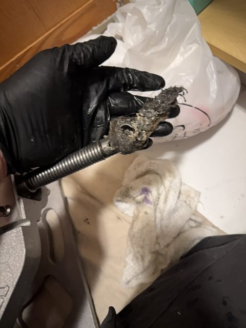 Gloved hand holding debris pulled from a drain line